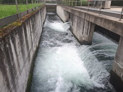 1655328580545 Denoralariana800px 1655328580545 Denoralariana800px