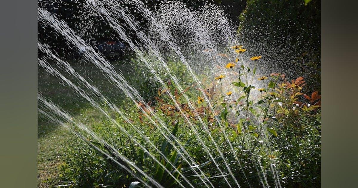 California County Implements Restrictions on Water Due to Extreme Drought Conditions