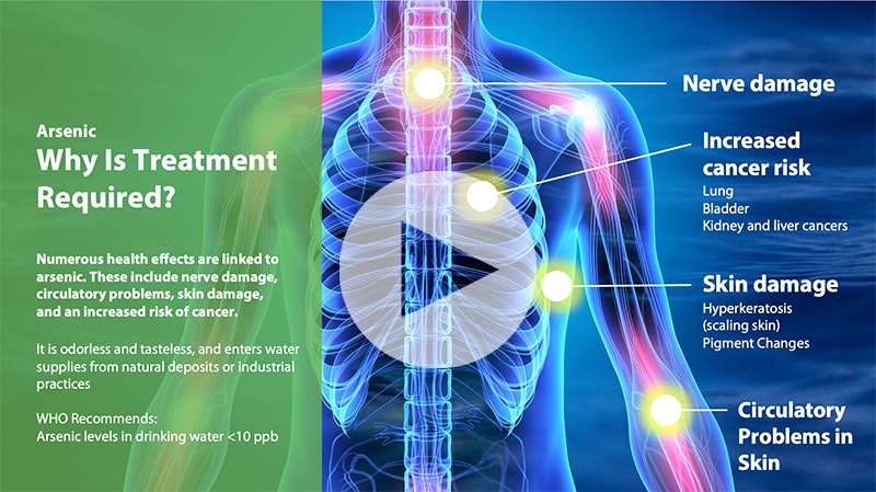 De Nora -Inorganic Contaminants -WWD Webinar Alert June 16