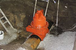 IMG_7615-800x533 IMG_7615-800x533