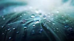 water-drops