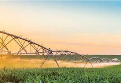 1655328599547 Screen Shot 20210708 At 11 1655328599547 Screen Shot 20210708 At 11