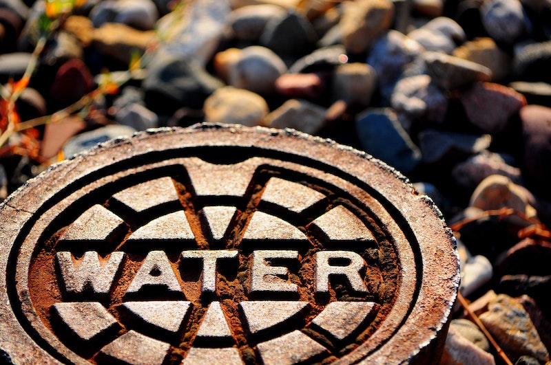 1655328609137 Shutterstock 96246653