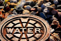 1655328609137 Shutterstock 96246653 1655328609137 Shutterstock 96246653