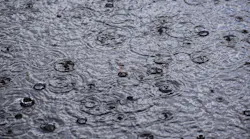 rainfall_1