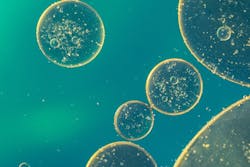 1655328620941 Oil In Water 1655328620941 Oil In Water