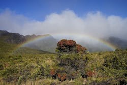 1655328621100 Cleanwateract 1655328621100 Cleanwateract