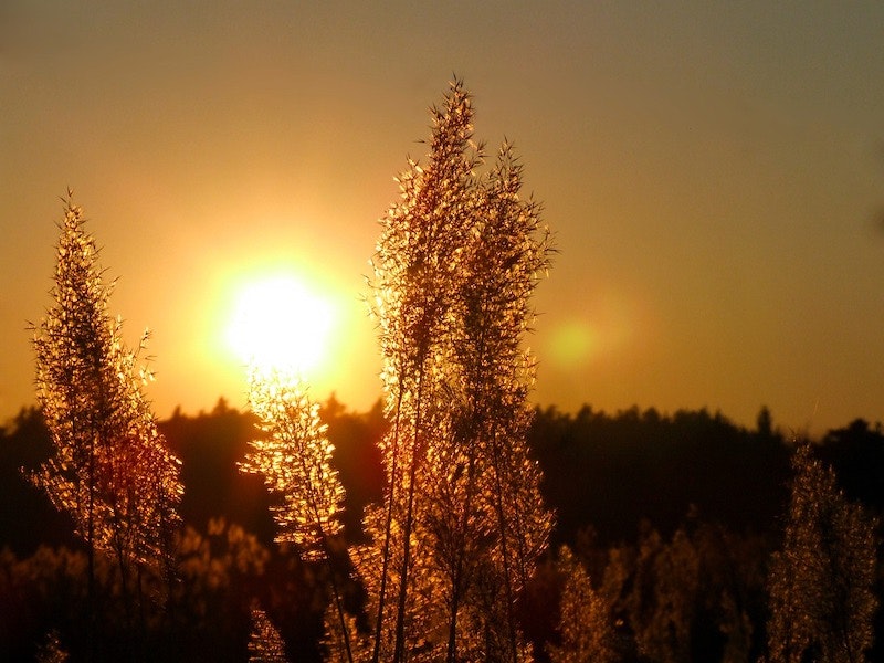 1655328622845 Westernwater 0