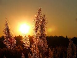 1655328622845 Westernwater 0 1655328622845 Westernwater 0