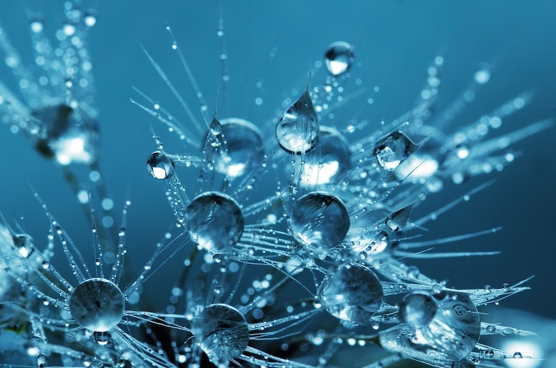 1655328631463 Water