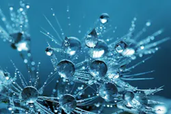1655328631463 Water