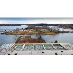 1655328637781 Biologically Active 1655328637781 Biologically Active