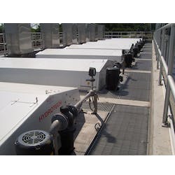 1655328640882 Product Background 95 1655328640882 Product Background 95