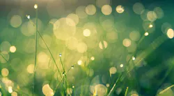 green technology