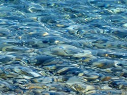 1655328669110 Waterg37d19f720 1920 1655328669110 Waterg37d19f720 1920