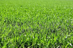 1655328674616 Kingsporttennessee 1655328674616 Kingsporttennessee