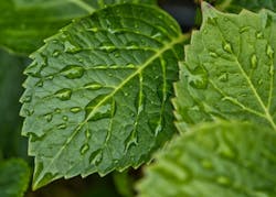 1655328677594 Waterindustry 0 1655328677594 Waterindustry 0