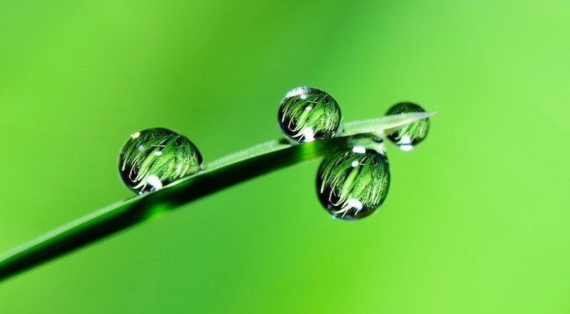 1655328679733 Percholateinwater