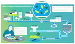 contaminants%20of%20concern contaminants%20of%20concern