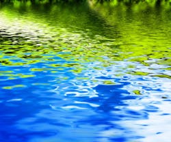 1656358932003 Dreamstime S 50458662 1656358932003 Dreamstime S 50458662