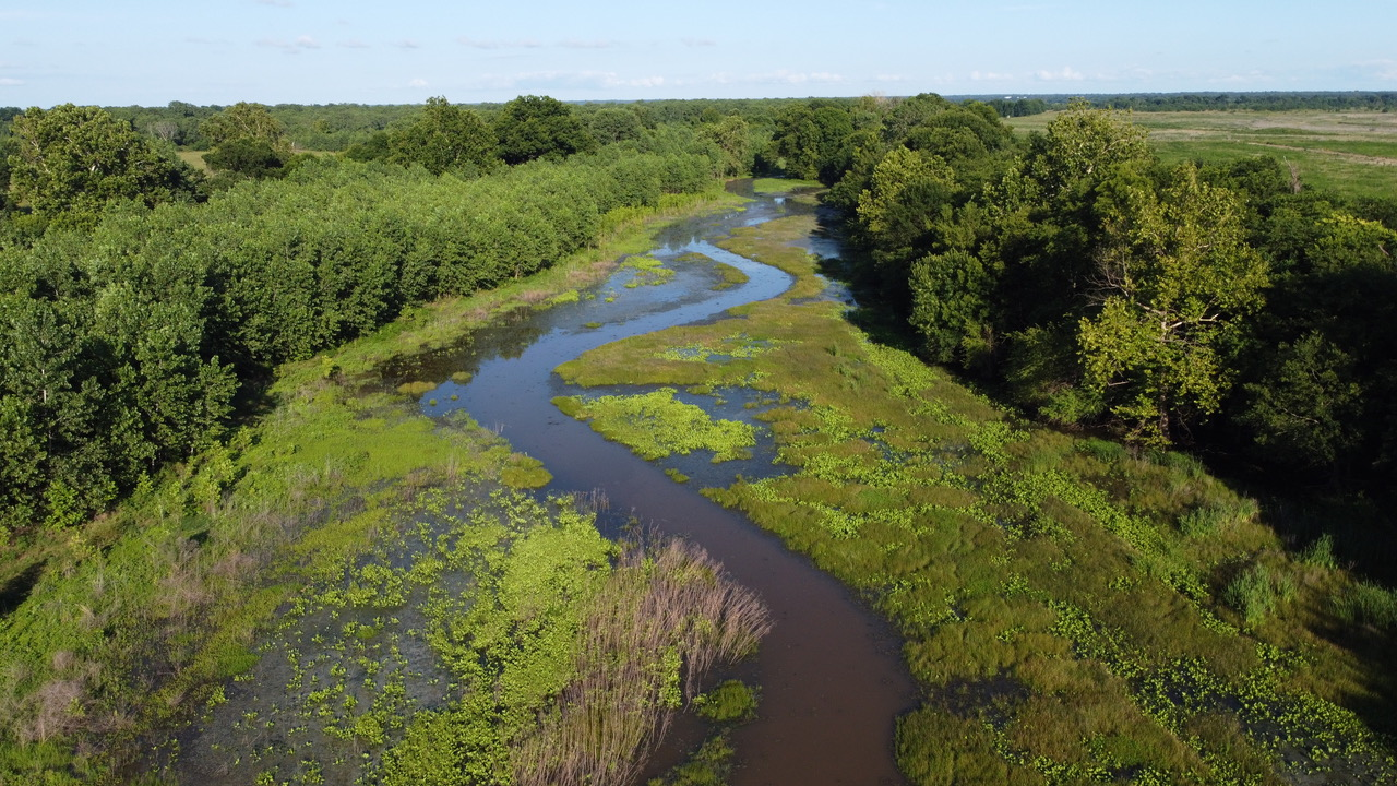 As part of its environmental restoration project, the North Texas Municipal Water Authority improved 70 miles of streams in addition to enhanced wetlands development.