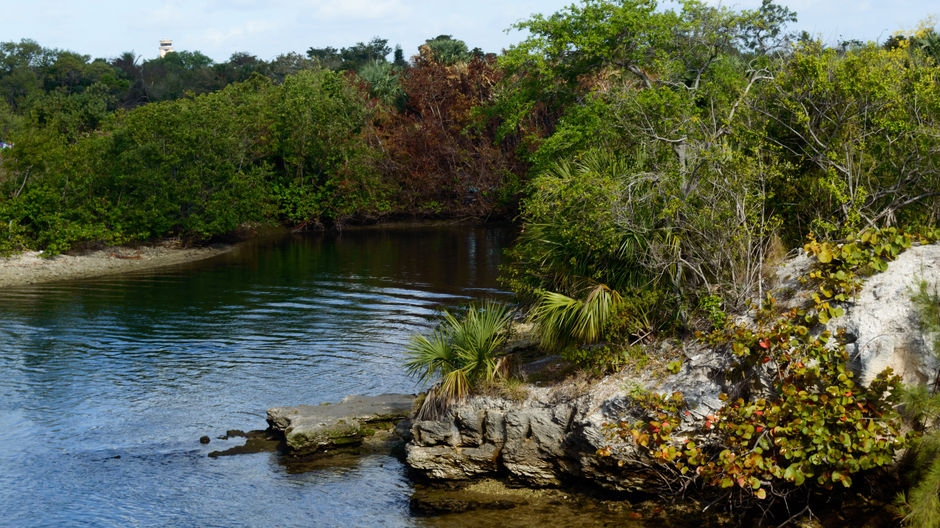 Florida is a hot spot for water reuse following years of changes to water ways, marshes and other ecosystems.