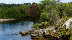 Florida is a hot spot for water reuse following years of changes to water ways, marshes and other ecosystems. Florida is a hot spot for water reuse following years of changes to water ways, marshes and other ecosystems.