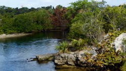 Florida is a hot spot for water reuse following years of changes to water ways, marshes and other ecosystems. Florida is a hot spot for water reuse following years of changes to water ways, marshes and other ecosystems.