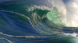 Making Wave Wwd Young Pros 2017 Dreamstime S 8890664