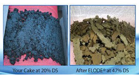 1657230483 Elodeproductimage1