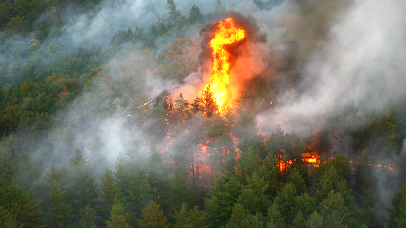 Wildfires 62e2ce32b859c