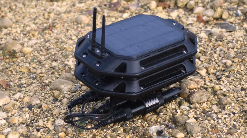 Chelsea Omnis In Situ