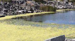 Algae blooms are often a sign of high nutrient levels in water, but tracking exact sources can be tricky.