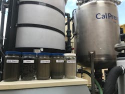 Pilot testing of a CNP CalPrex pre-digestion nutrient management system. Pilot testing of a CNP CalPrex pre-digestion nutrient management system.