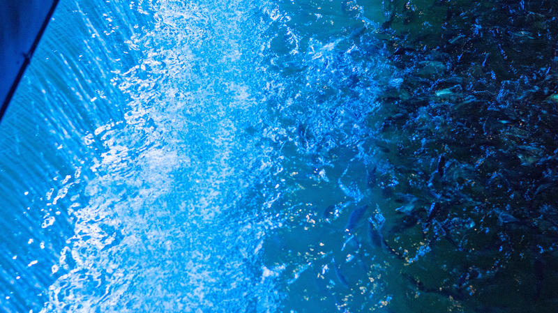 Water And Wastewater 62f563ba10abb