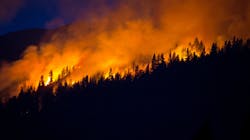 Wildfire 62e95599b4e25 Wildfire 62e95599b4e25