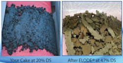 Before And After Image 62fd240e6cab7 Before And After Image 62fd240e6cab7