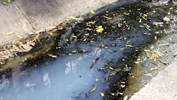 Sewage Spill 63177ee799856 Sewage Spill 63177ee799856