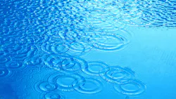 Stormwater Contamination 632b3bea47a46