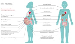 Effects of exposure to PFAS on human health. Photo by European Environment Agency (original image). Mrmw (vectorization), CC BY 2.5 DK , via Wikimedia Commons Effects of exposure to PFAS on human health. Photo by European Environment Agency (original image). Mrmw (vectorization), CC BY 2.5 DK , via Wikimedia Commons