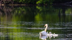 Ann Arbor Michigan Water 633c49feeae0a Ann Arbor Michigan Water 633c49feeae0a