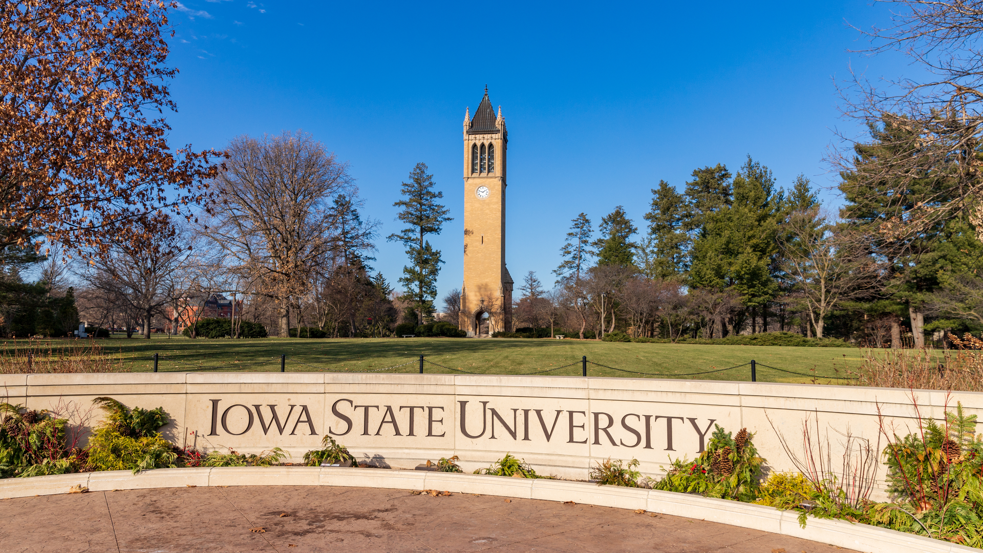 Dreamstime Xl 204686828 633ee8df6c14b