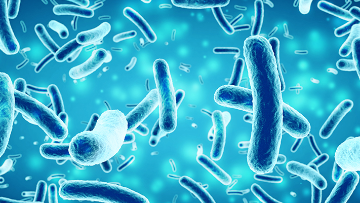 Cgi Bacillus Banner 6385333aaeef2