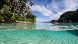 Dreamstime Xl 50444692 6363dd6786a89 Dreamstime Xl 50444692 6363dd6786a89