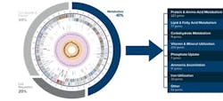 Figure 2. The genome of one of the Bacillus strains included in Biotifx products is presented in a graphical representation. Each color in the ring represents a different subsystem or set of proteins that work in unison to execute a certain biological process that fall into the categories of metabolism, cell growth and division, and cell regulation. We then zoom in on the number of genes this strain has dedicated to metabolic processes. This data demonstrates the wide variety of substrates this organism has the genetic ability to metabolize. Figure 2. The genome of one of the Bacillus strains included in Biotifx products is presented in a graphical representation. Each color in the ring represents a different subsystem or set of proteins that work in unison to execute a certain biological process that fall into the categories of metabolism, cell growth and division, and cell regulation. We then zoom in on the number of genes this strain has dedicated to metabolic processes. This data demonstrates the wide variety of substrates this organism has the genetic ability to metabolize.
