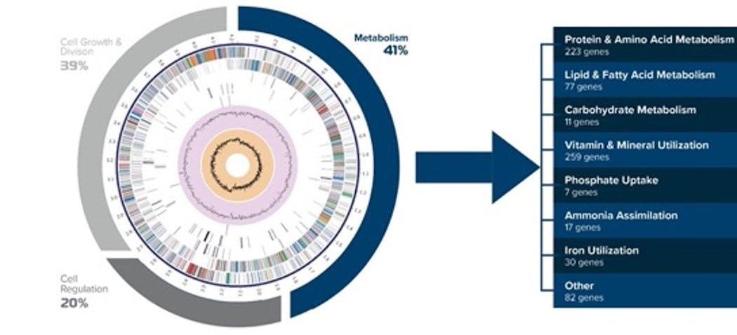 Figure 2. The genome of one of the Bacillus strains included in Biotifx products is presented in a graphical representation. Each color in the ring represents a different subsystem or set of proteins that work in unison to execute a certain biological process that fall into the categories of metabolism, cell growth and division, and cell regulation. We then zoom in on the number of genes this strain has dedicated to metabolic processes. This data demonstrates the wide variety of substrates this organism has the genetic ability to metabolize.