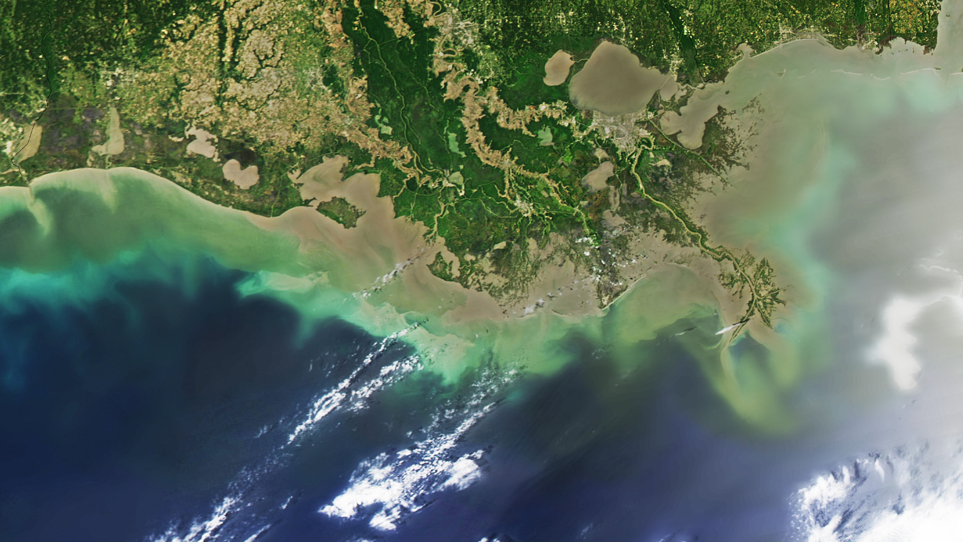 Dreamstime Xl 50665852 638fc14493541