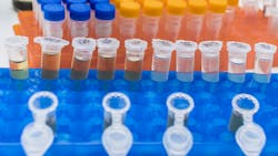 Dreamstime Xxl 181420624 639b238493cfc Dreamstime Xxl 181420624 639b238493cfc