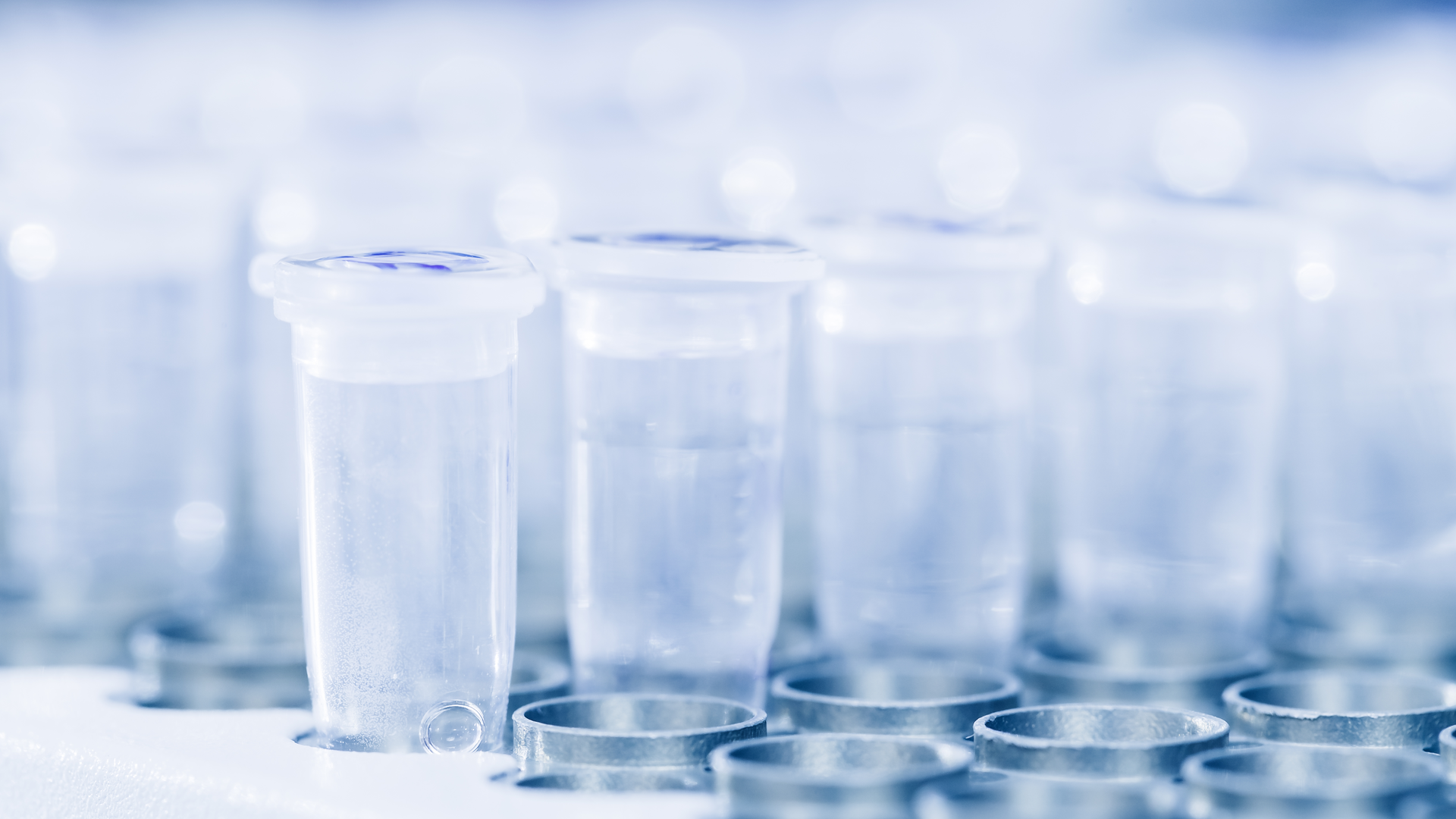 Dreamstime Xxl 25092116 63a1d3986071b