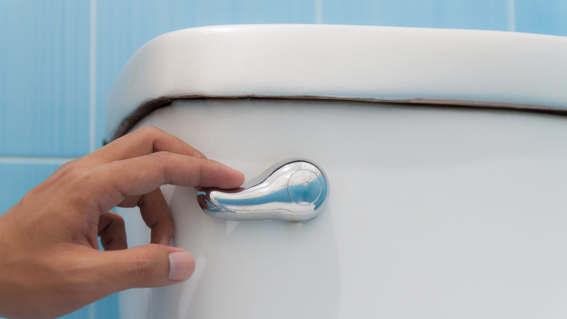 Dreamstime Xxl 45489344 639b3e2c94846